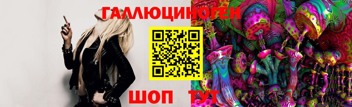 Галлюциногенные грибы Psilocybe  Галлюциногенные грибы Magic Shrooms  Вход с VPN  Будённовск 