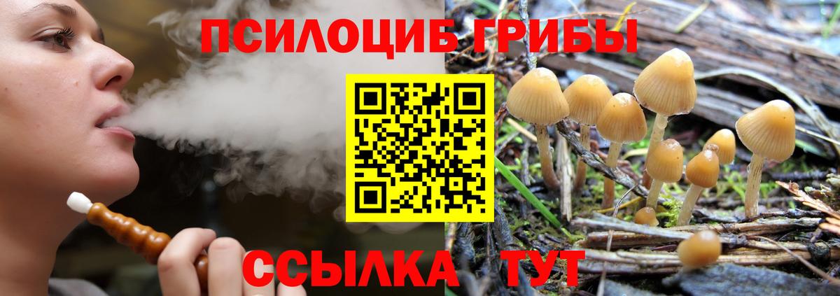 Псилоцибиновые грибы мицелий Будённовск